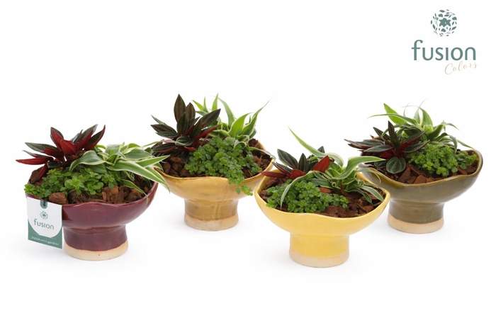 <h4>Keramiek schaal Medium met Groenen planten</h4>