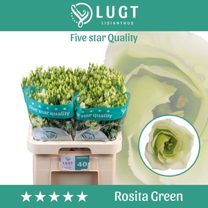 Eust G Rosita Green