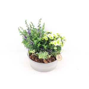 arr4 Outdoor PL - Ker. schaal choco