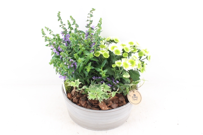 <h4>arr4 Outdoor PL - Ker. schaal choco</h4>