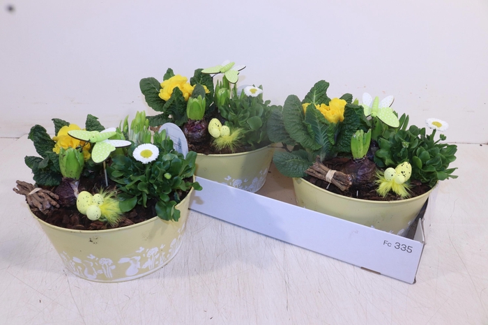 <h4>ARR TUINPLANTEN</h4>