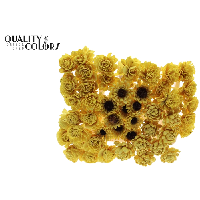 <h4>Shola Flower Mix on stem Yellow</h4>