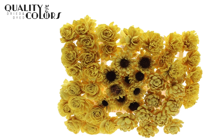 Shola Flower Mix on stem Yellow