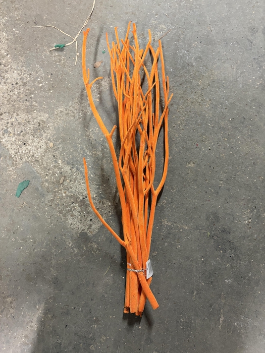 <h4>Mitsumata orange</h4>