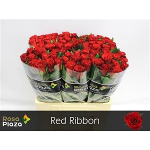 R Gr Red Ribbon