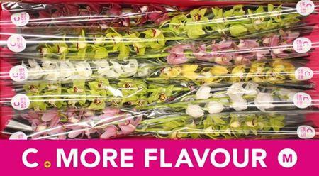 <h4>Cymb Mi Mixed</h4>