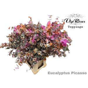 EUCA CINEREA PICASSO 200GR