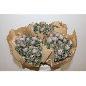 Anem Marianne Powder Brown