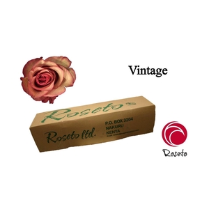 R Gr Vintage (boxes!)