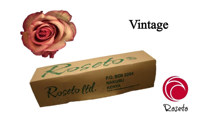 <h4>R Gr Vintage (boxes!)</h4>
