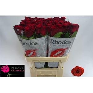 R GR RHODOS