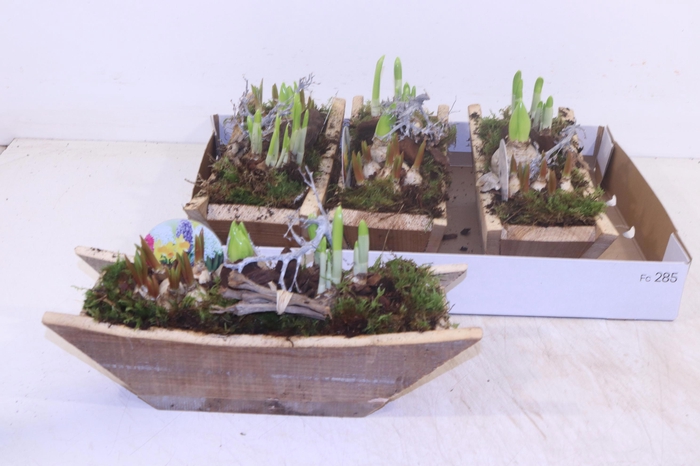 <h4>ARR BOL KNOLGEWAS</h4>