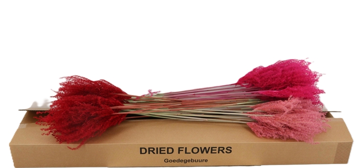 <h4>DROOGBL BEWERKT H%</h4>