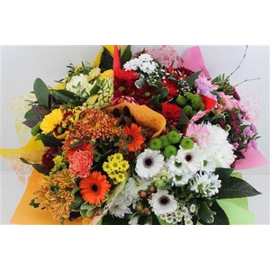 Boeket Germini Mix (5 Kleuren)