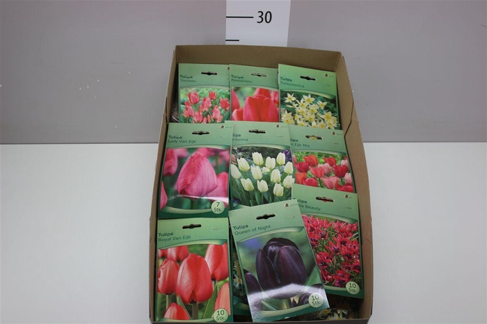 <h4>Droge Bloembol Mix In Zakjes</h4>