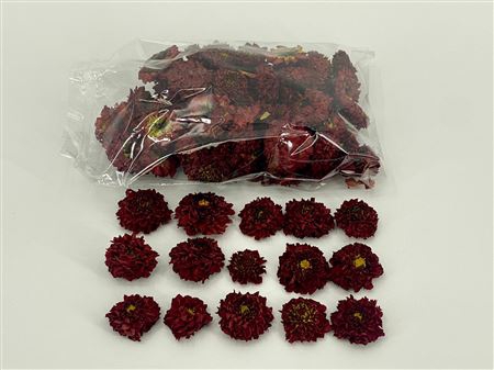 DRIED DAHLIA HEADS RED BAG (50-60 H