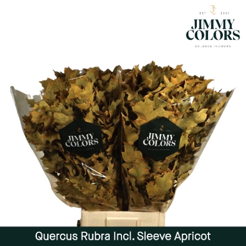 <h4>Quercus Rubra sleeve L80 Klbh. Apricot</h4>