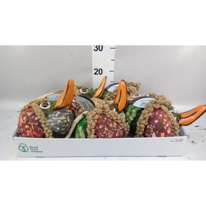 Decoratie  ..Vogelzaadfiguur  H%