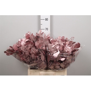Euc Populus Berry V Pink Metallic