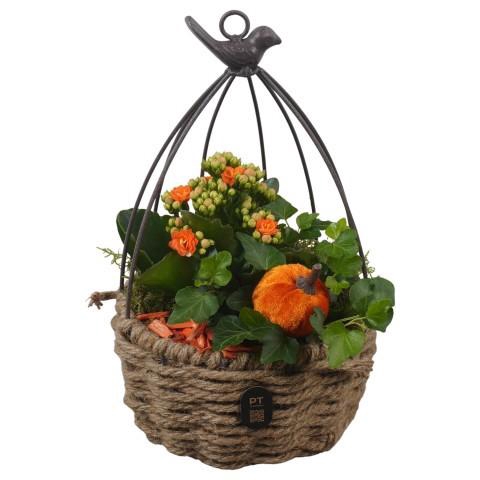 <h4>PTHI3350 Arrangement Autumn Indoor in touwmand met metaal</h4>
