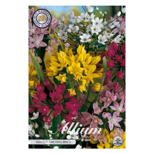<h4>Allium Small Flowering Mixed x20 5/6</h4>