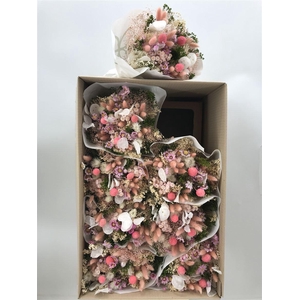 Dr Bqt Farfalla White/pink