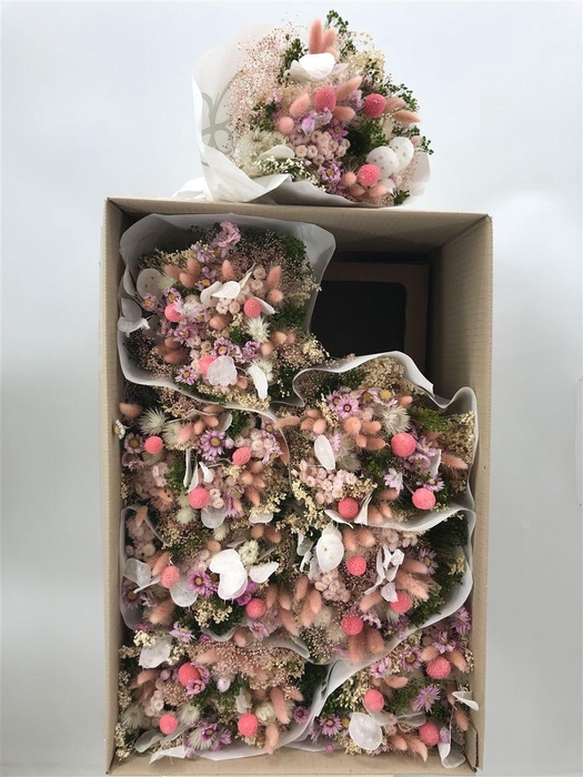 <h4>Dr Bqt Farfalla White/pink</h4>