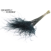 DF Stypha 60cm Bs Black