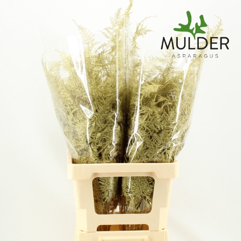 <h4>Asp Klb H% Extra Veren Gold</h4>