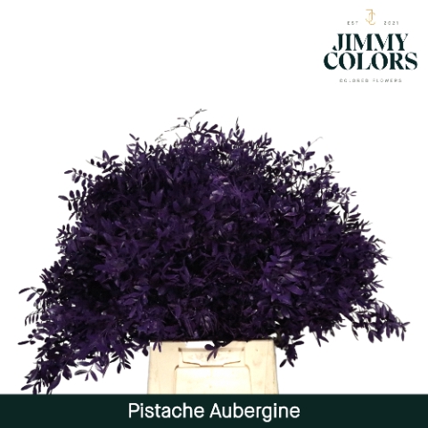 Pistache L50 Klbh. Aubergine