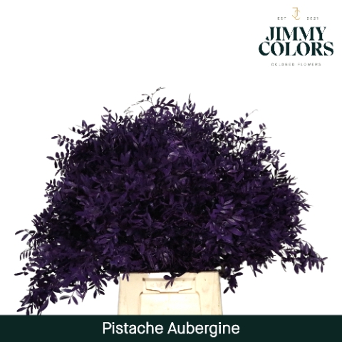 <h4>Pistache L50 Aubergine</h4>