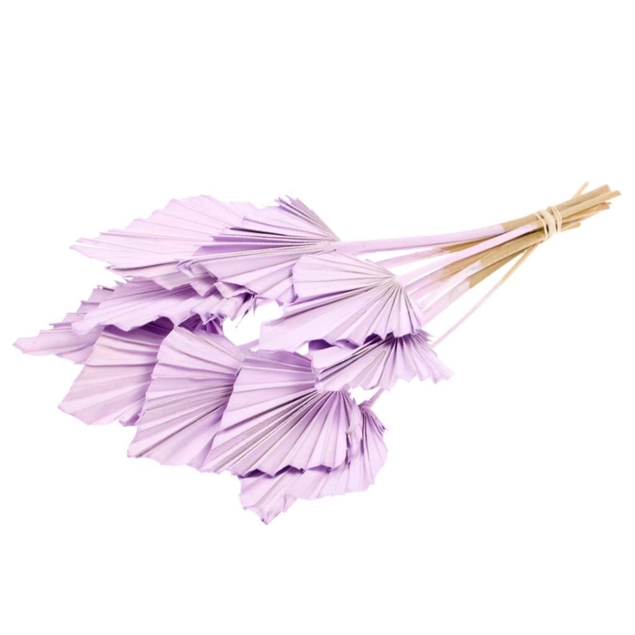 Palmspear 10pc lilac misty