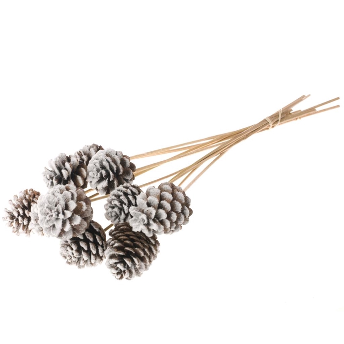 <h4>Pine C 5-7 O/s Hvy Snow</h4>