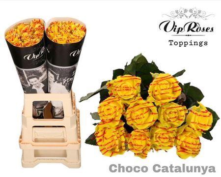 <h4>R Gr Choco Catalunya</h4>