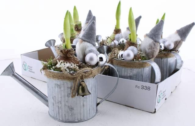 <h4>ARR BOL KNOLGEWAS</h4>