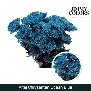 Chr T Altaj Ocean blue