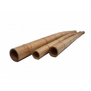 BAMBOE DIV LENGTES G