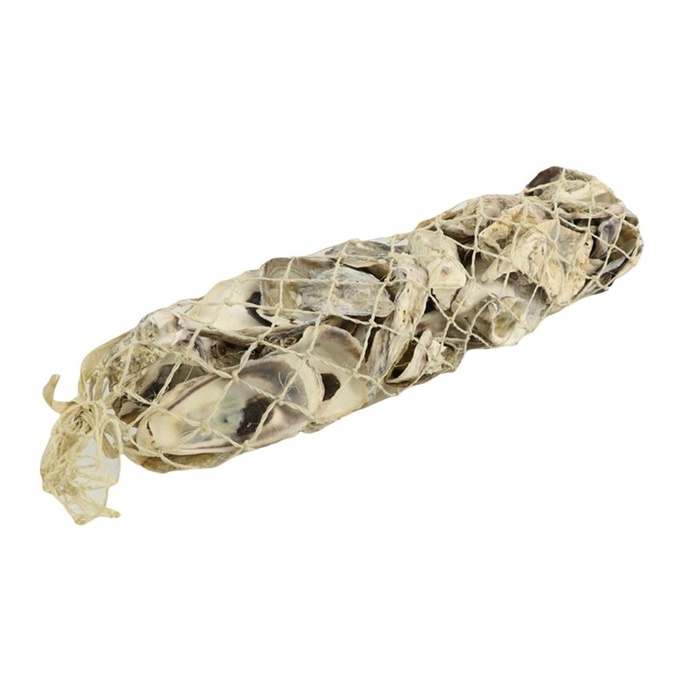 <h4>Schelpen Oyster Talaba 450g</h4>