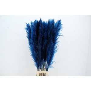 DF Pampas 130cm Dark Blue