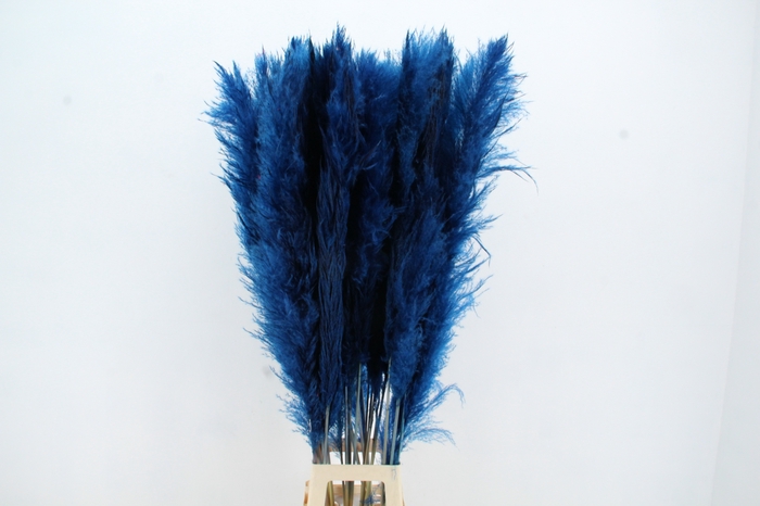 <h4>DF Pampas 130cm Dark Blue</h4>