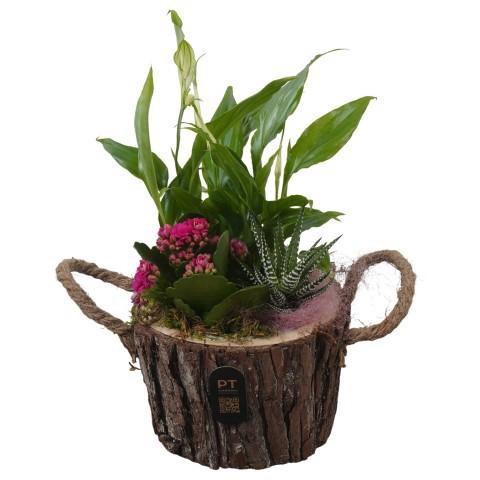 <h4>PTIB5259 Arrangement Indoor in houten bak</h4>