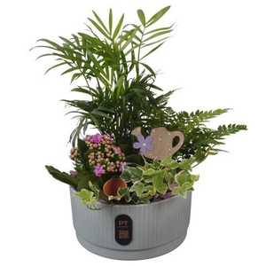 PTIB5129 Arrangement Indoor in keramiek schaal