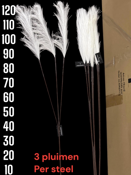 <h4>HUIS EN TUINDECO H%</h4>