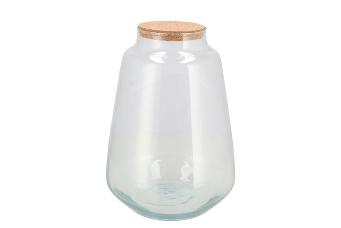 <h4>Glass Terrarium Wide With Cork 21x21x30cm</h4>