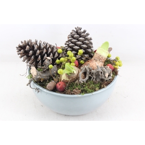 arr4 Amaryllis MB - Keramiek schaal blue