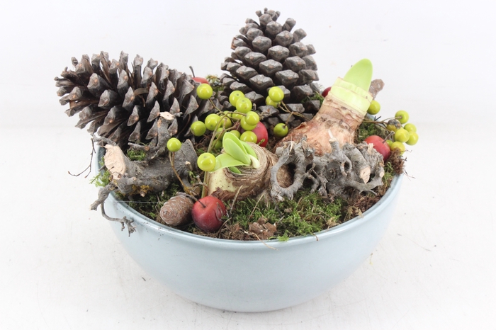 <h4>arr4 Amaryllis MB - Keramiek schaal blue</h4>