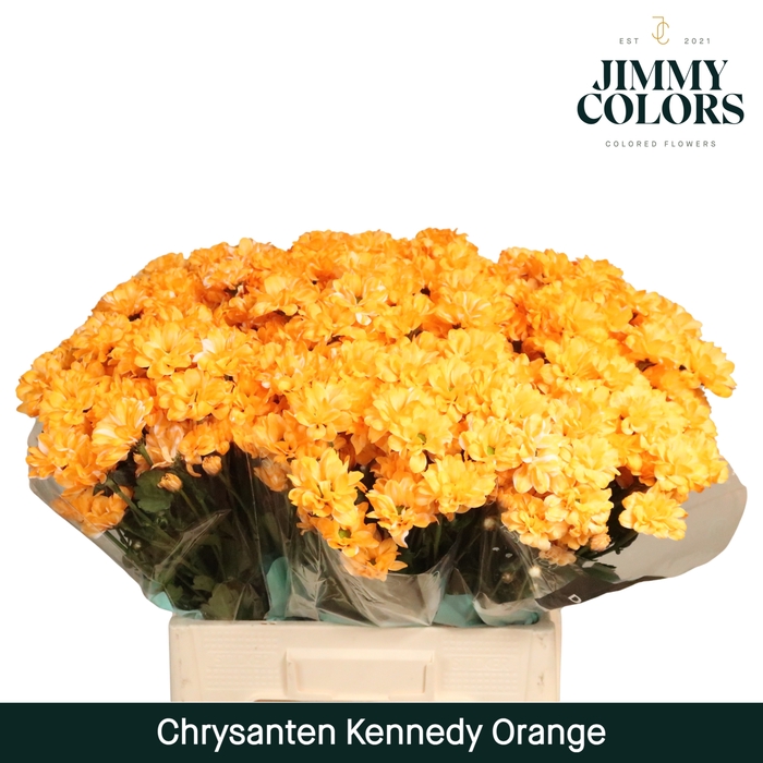 <h4>Chr T Kennedy Orange</h4>