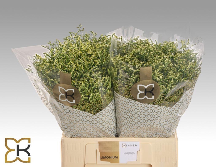 <h4>Limonium china lemon</h4>