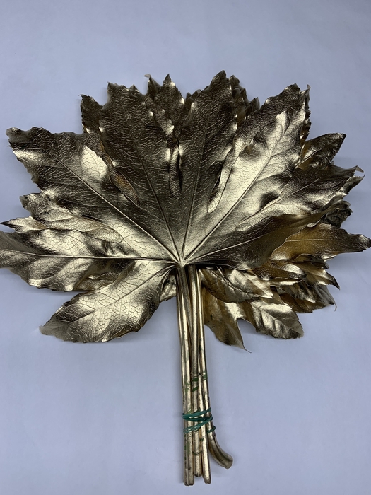 <h4>METAL ARALIA LEAVES GOLD I</h4>