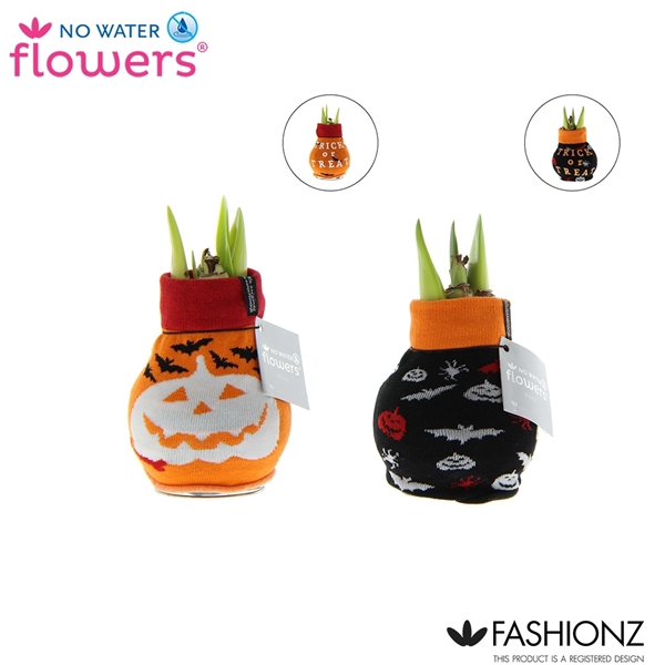 <h4>No Water Flowers® Fashionz Halloween</h4>